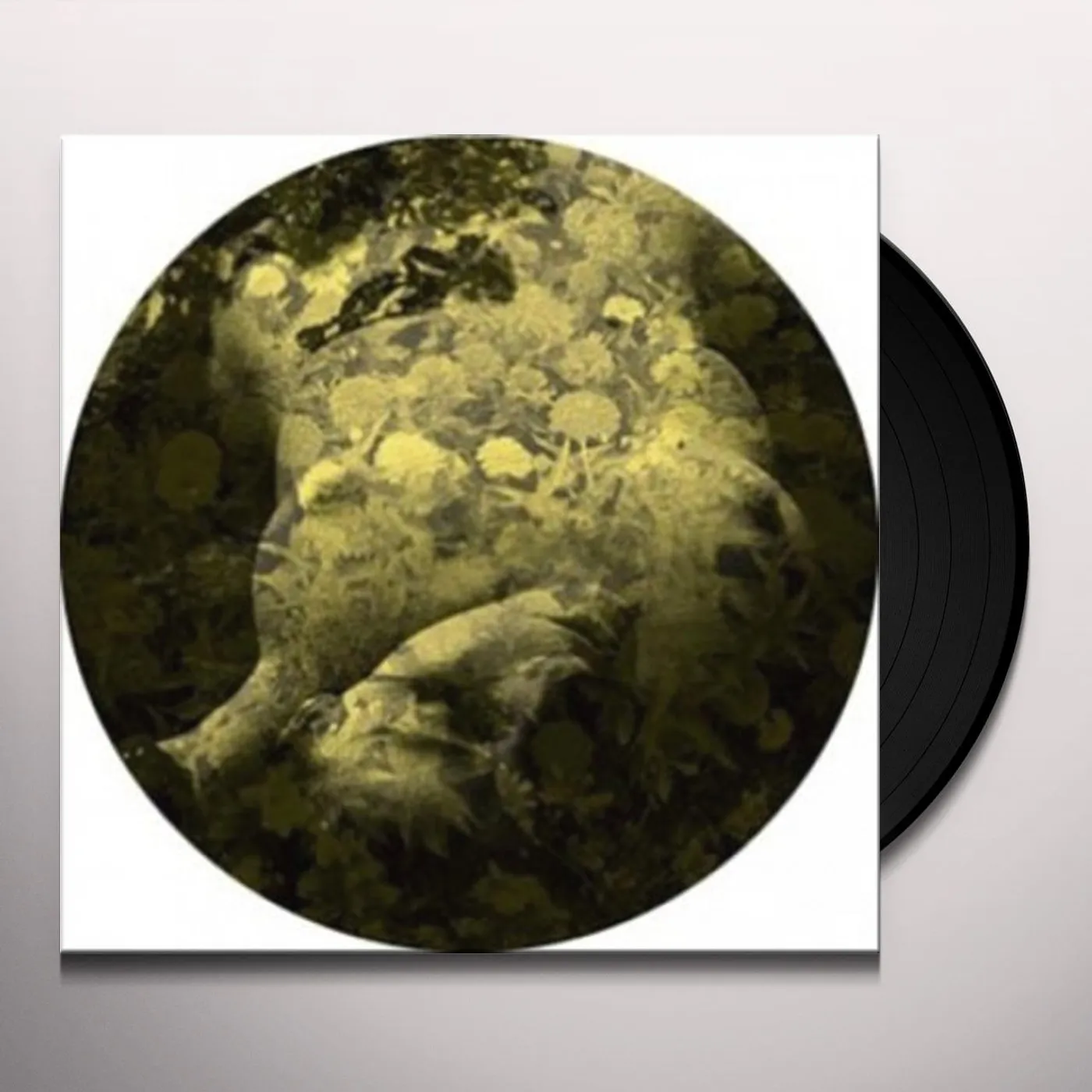 Salva YELLOBONE Vinyl Record