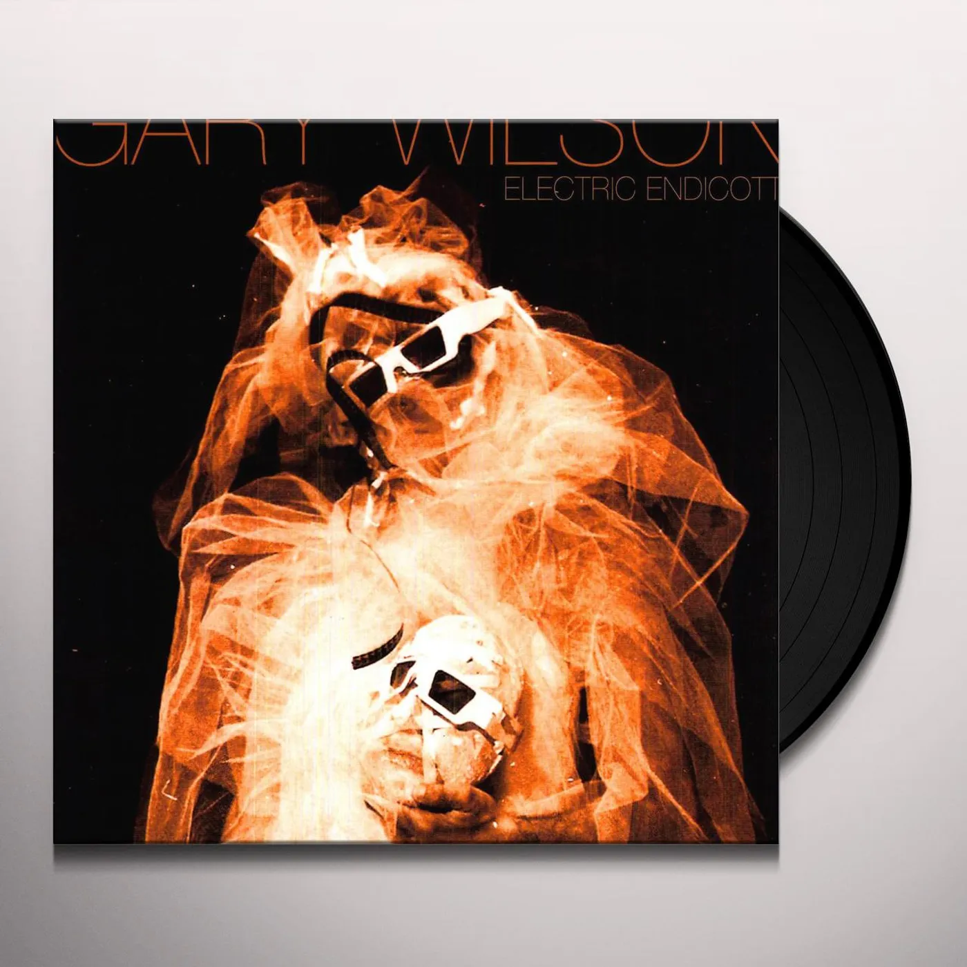 Gary Wilson Electric Endicott Vinyl Record