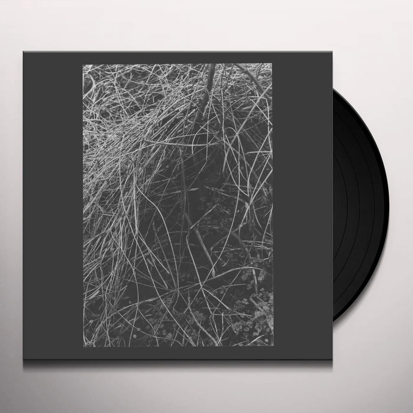 Annelies Monseré Nest Vinyl Record