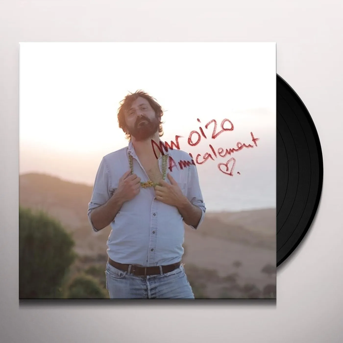 Mr. Oizo Amicalement Vinyl Record