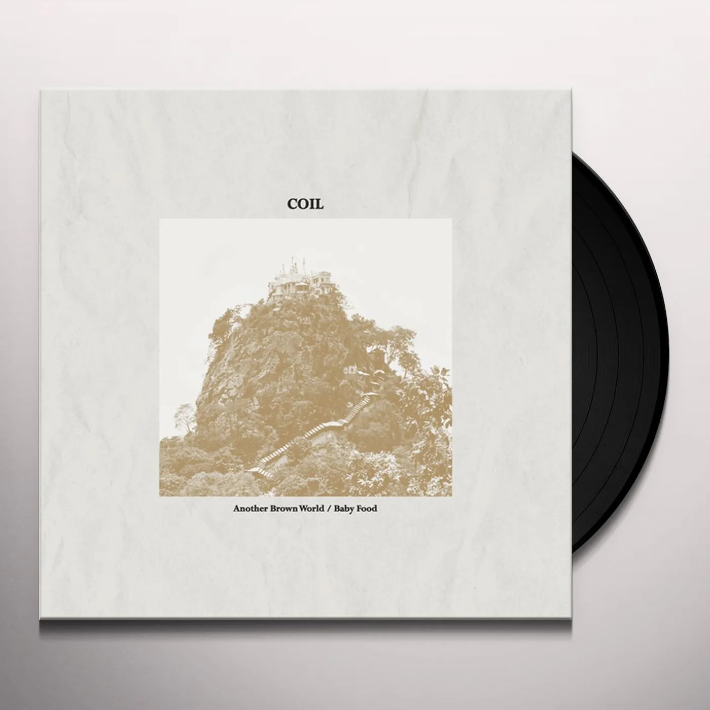 Coil Another Brown World / Baby Food Vinyl Record