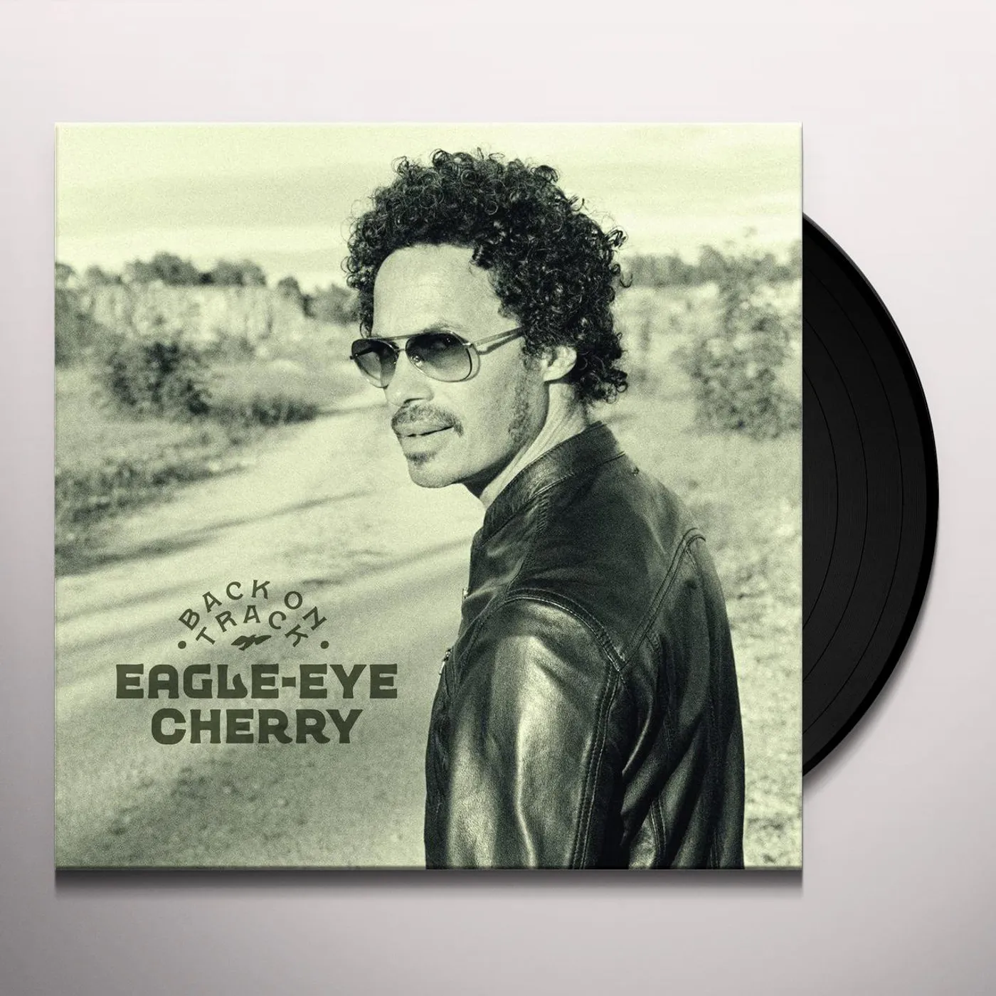 Eagle-Eye Cherry Back On Track Vinyl Record