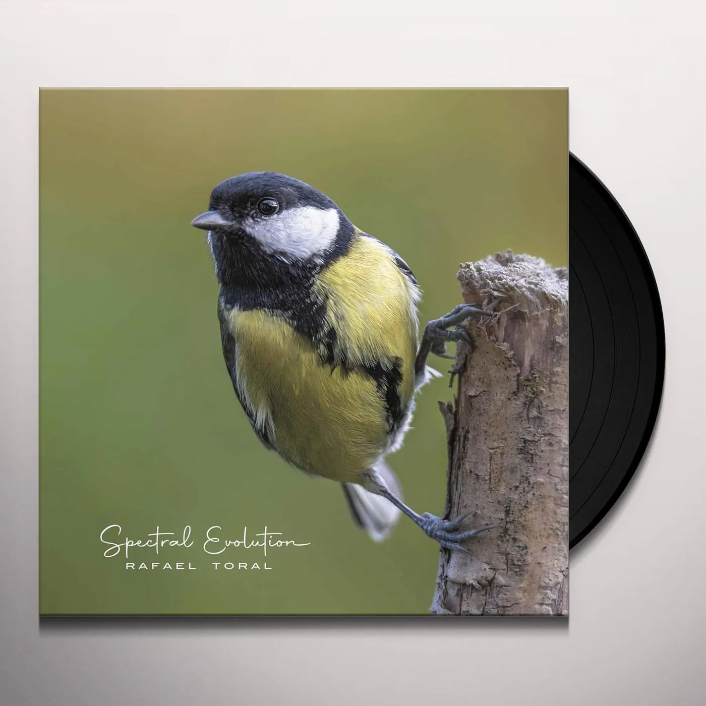 Rafael Toral Spectral Evolution Vinyl Record