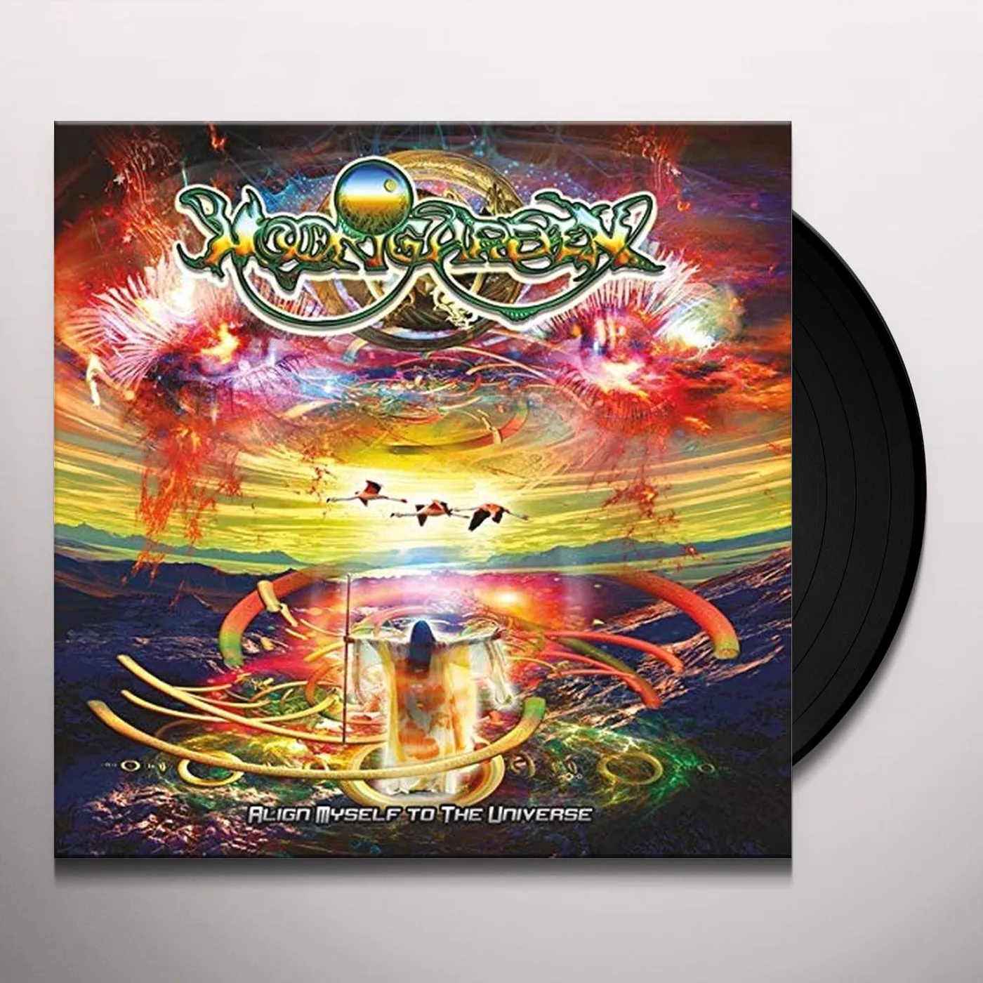 Moongarden Align Myself to the Universe Vinyl Record