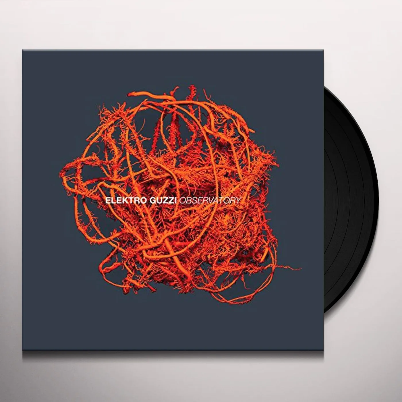 Elektro Guzzi Observatory Vinyl Record