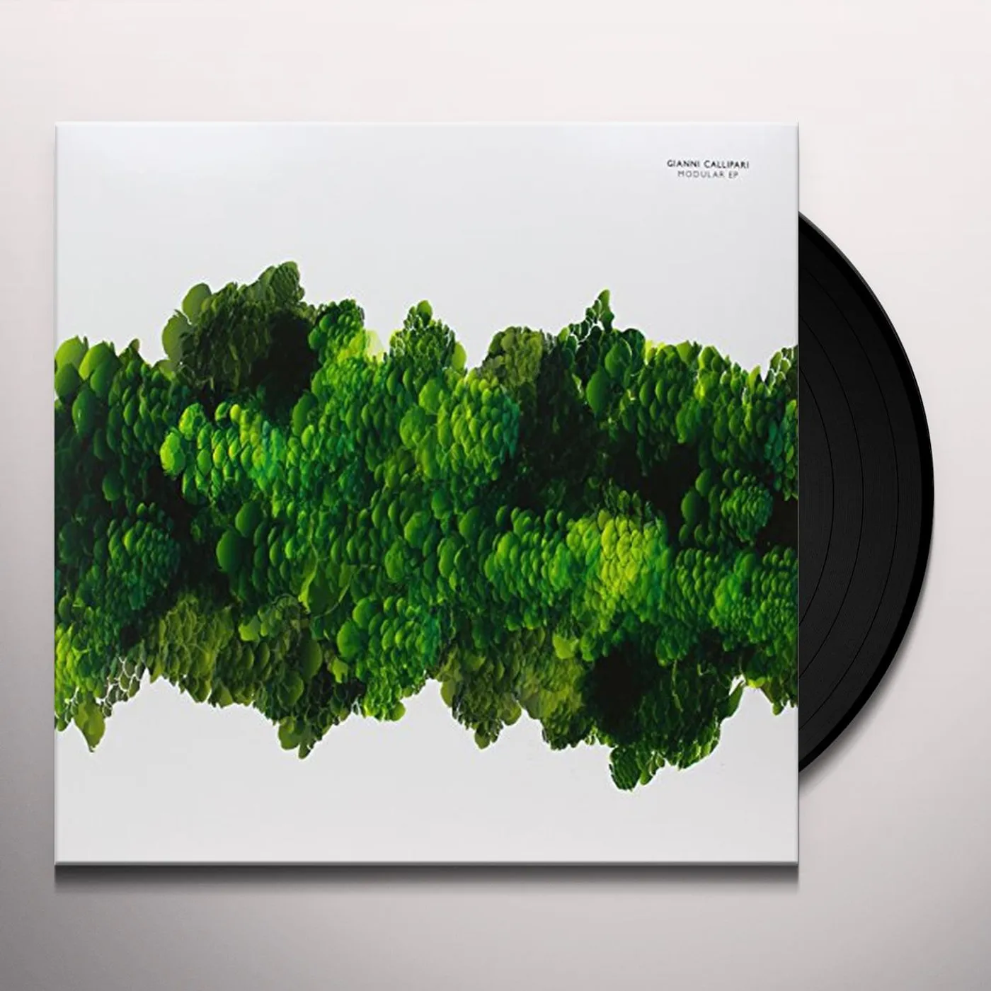 Gianni Callipari Modular Vinyl Record