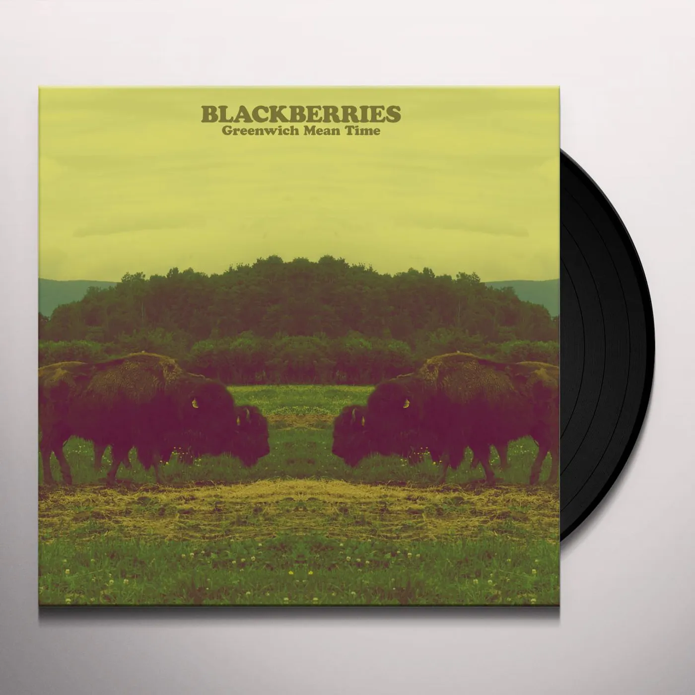 Blackberries Greenwich Mean Time Vinyl Record