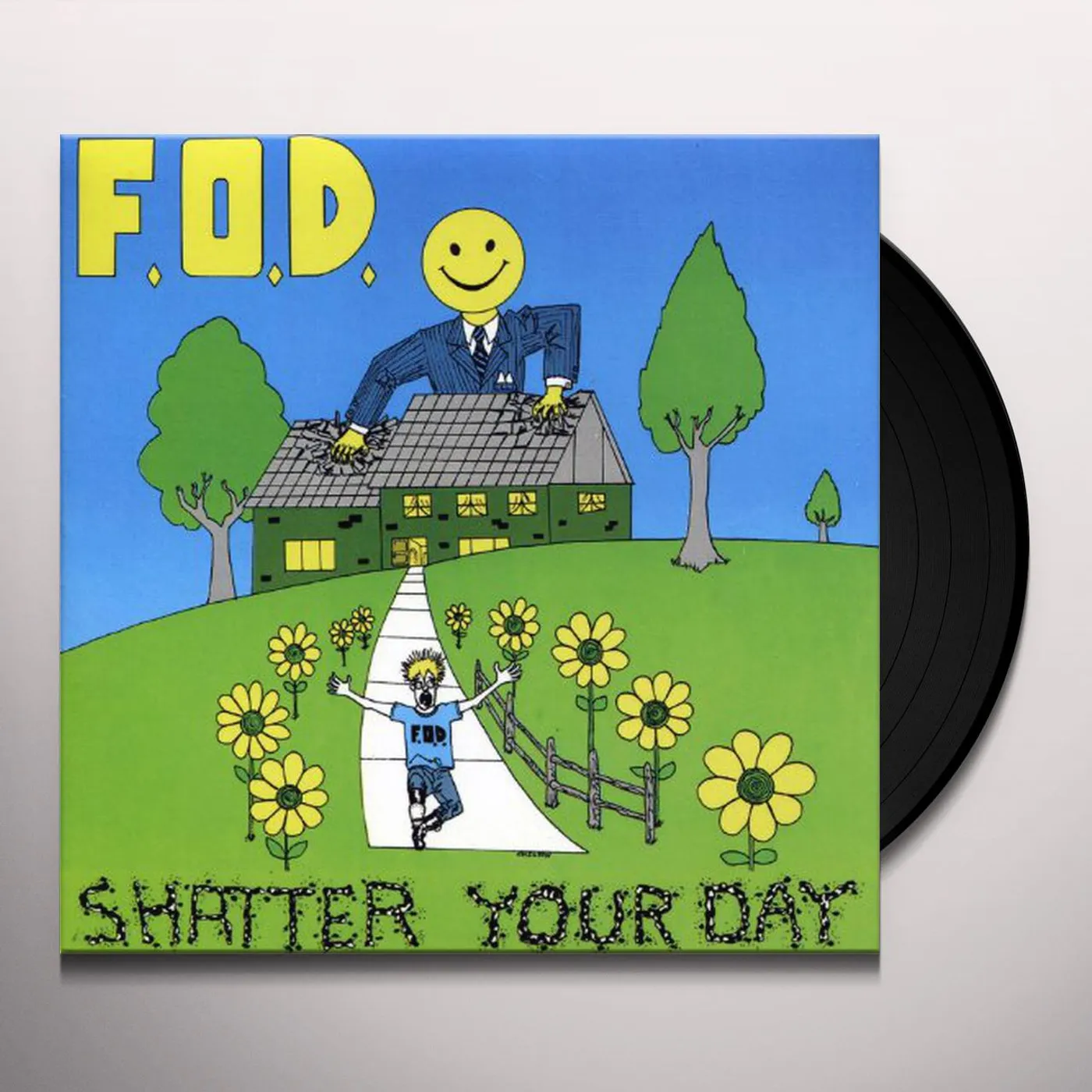 Flag Of Democracy Shatter Your Day Vinyl Record