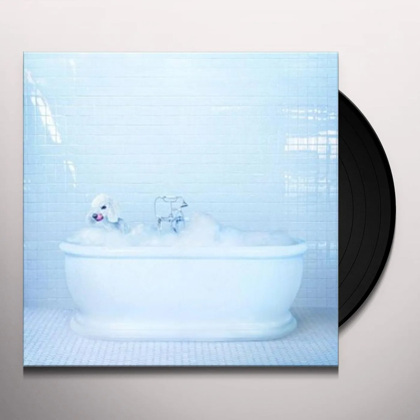 Frankie Cosmos Vessel Vinyl Record