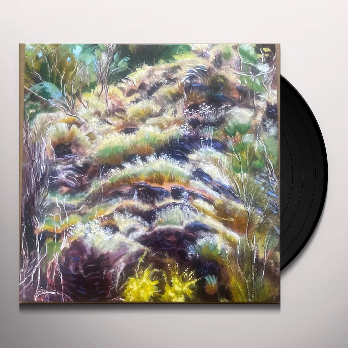 Swim Surreal IN THE HALF LIGHT Vinyl Record