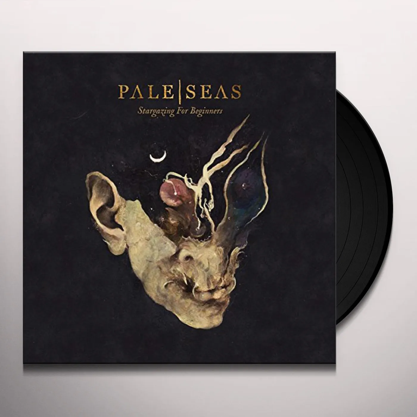 Pale Seas Stargazing for Beginners Vinyl Record