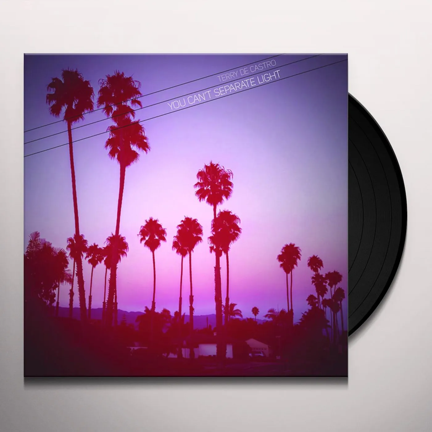 Terry De Castro You Can't Separate Light Vinyl Record