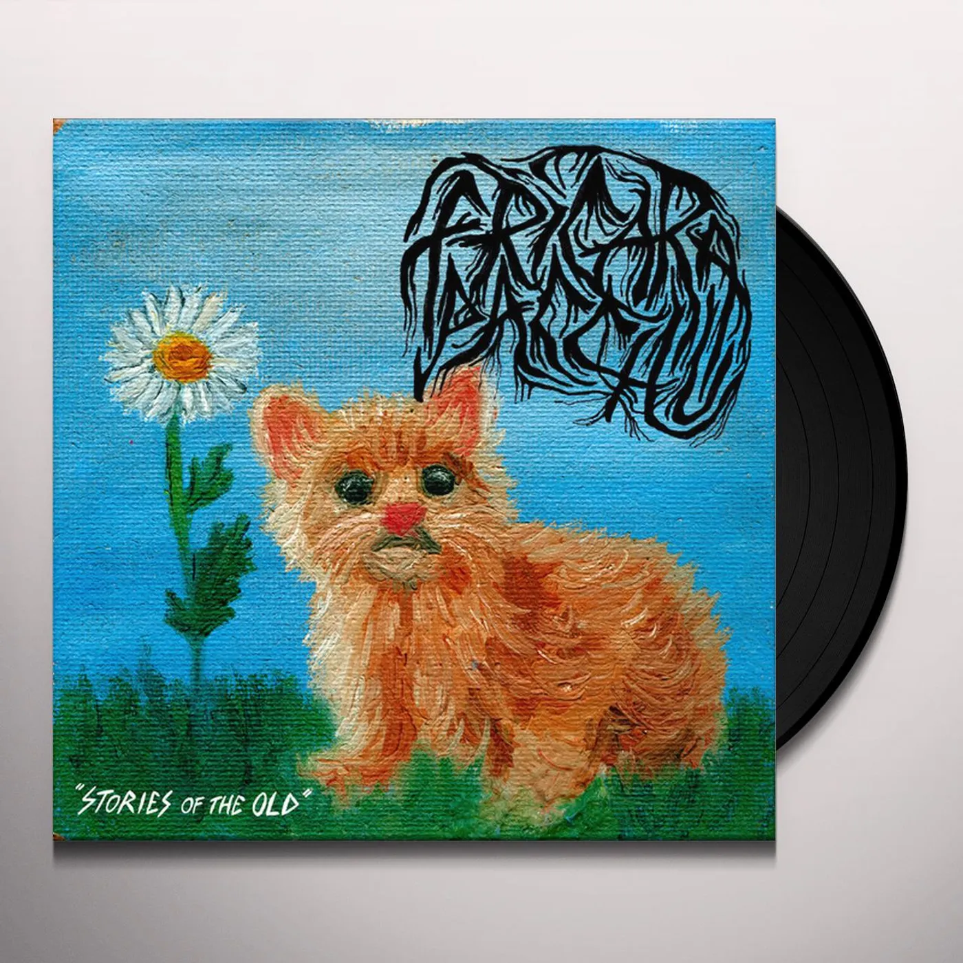 Fricara Pacchu Stories of the Old Vinyl Record