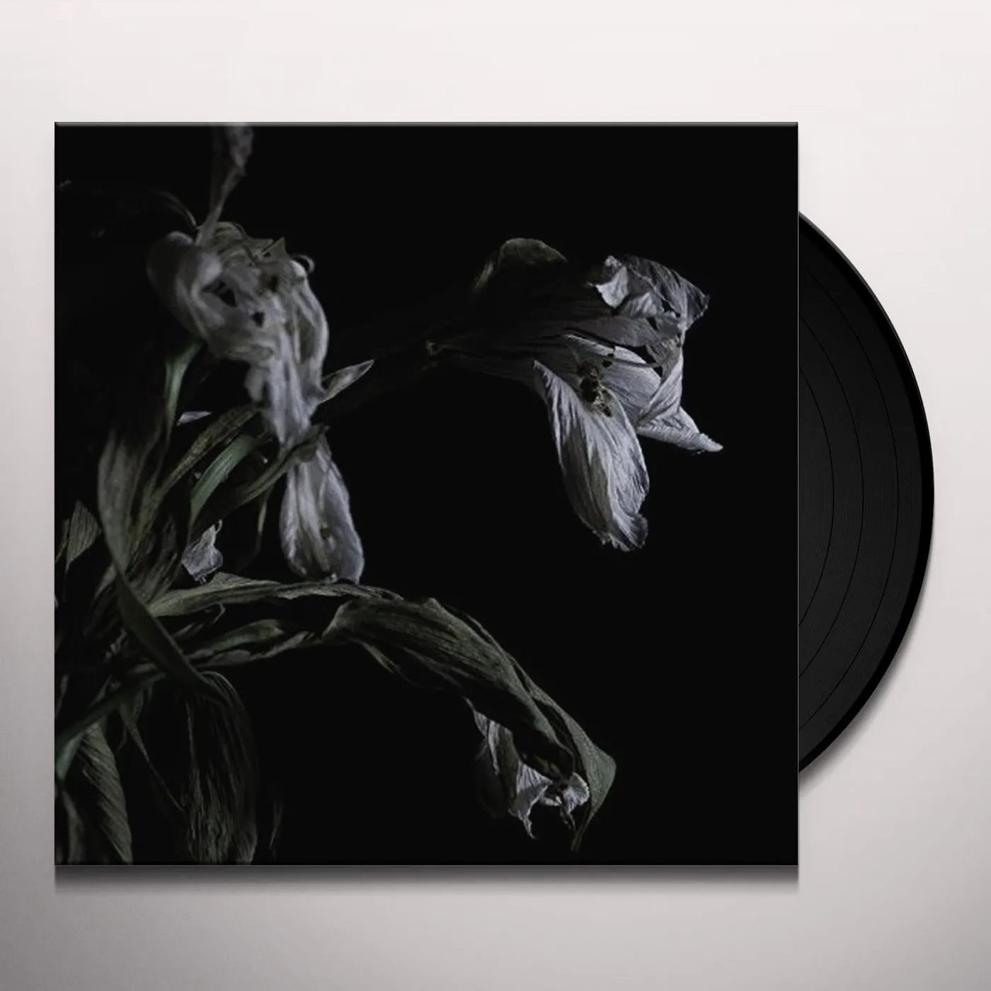 Cavernlight AS WE CUP OUR HANDS & DRINK FROM THE STREAM OF OUR Vinyl Record