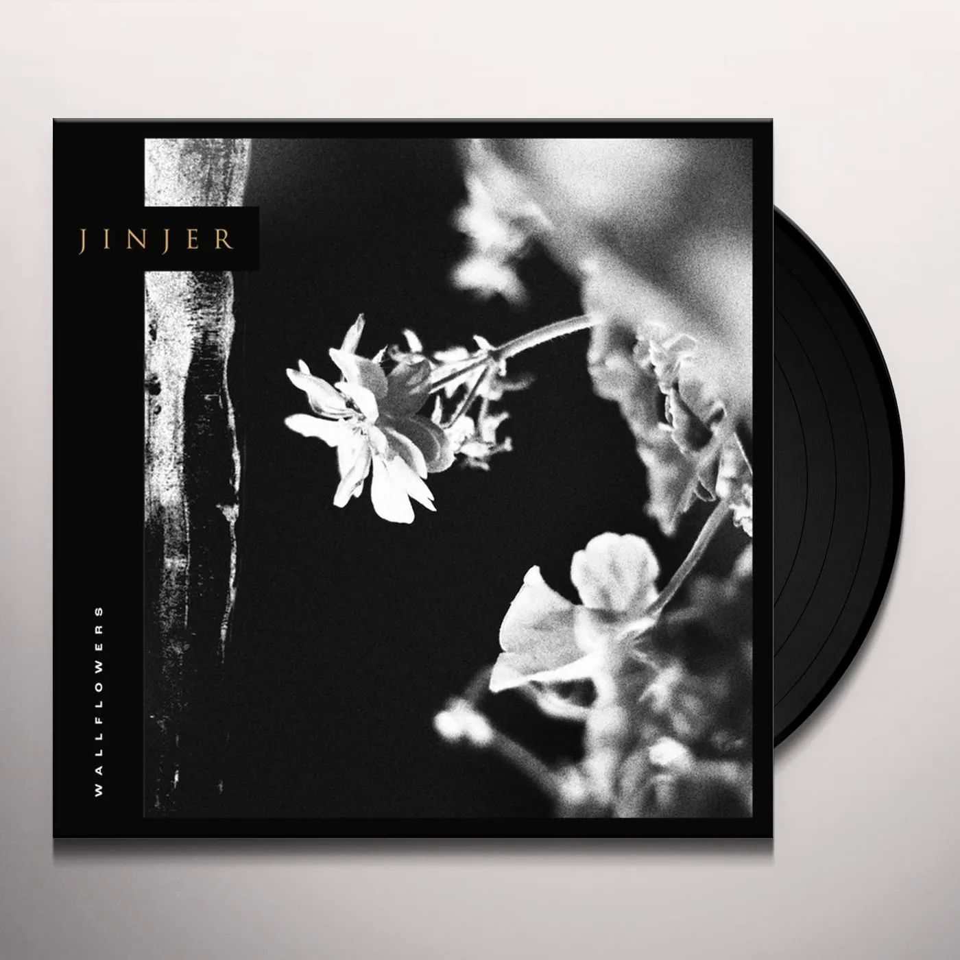 Jinjer Wallflowers Vinyl Record