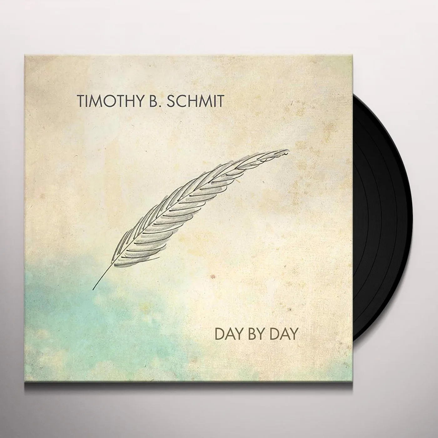 Timothy B. Schmit DAY BY DAY Vinyl Record