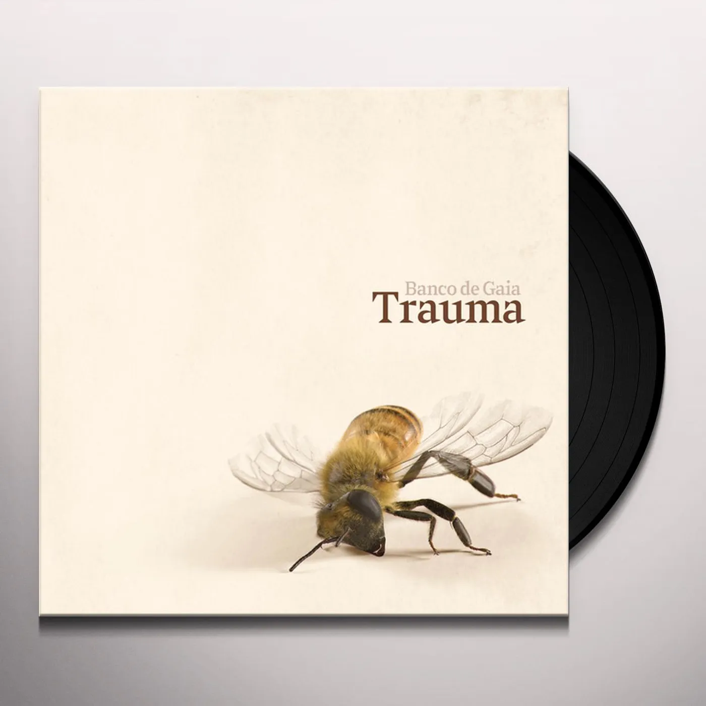 Banco De Gaia TRAUMA Vinyl Record