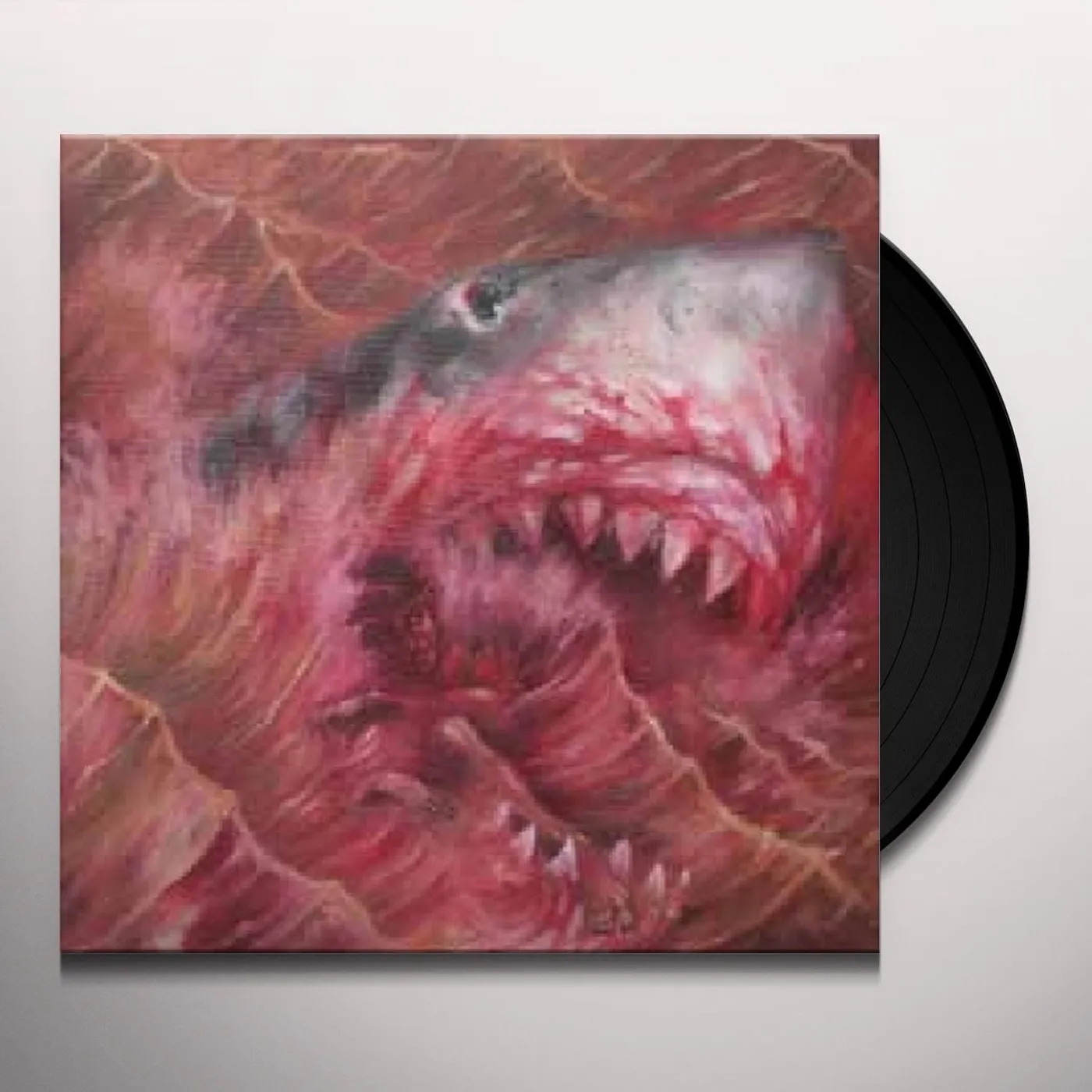 Akimbo Jersey Shores Vinyl Record