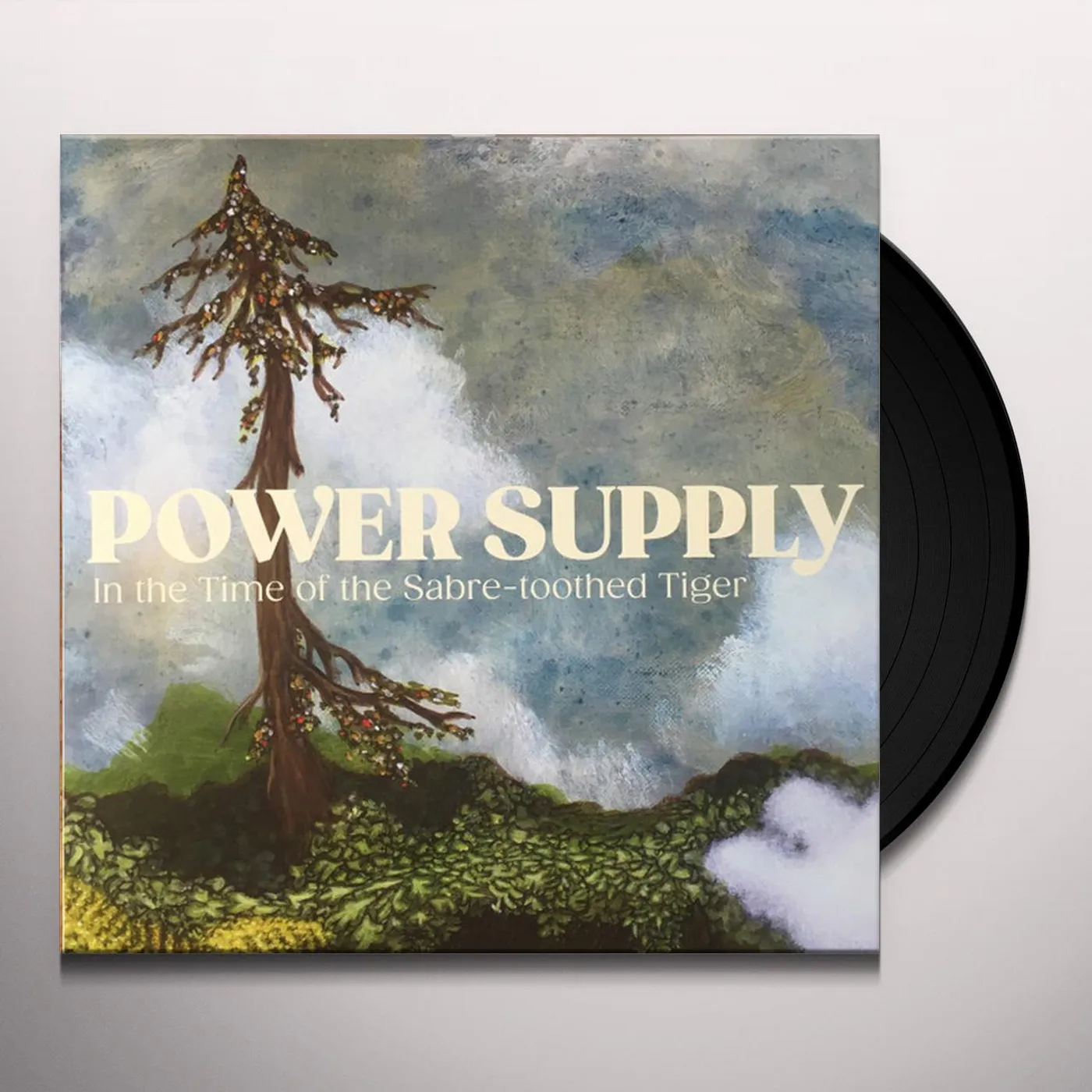 Power Supply IN THE TIME OF THE SABRE-TOOTHED TIGER Vinyl Record
