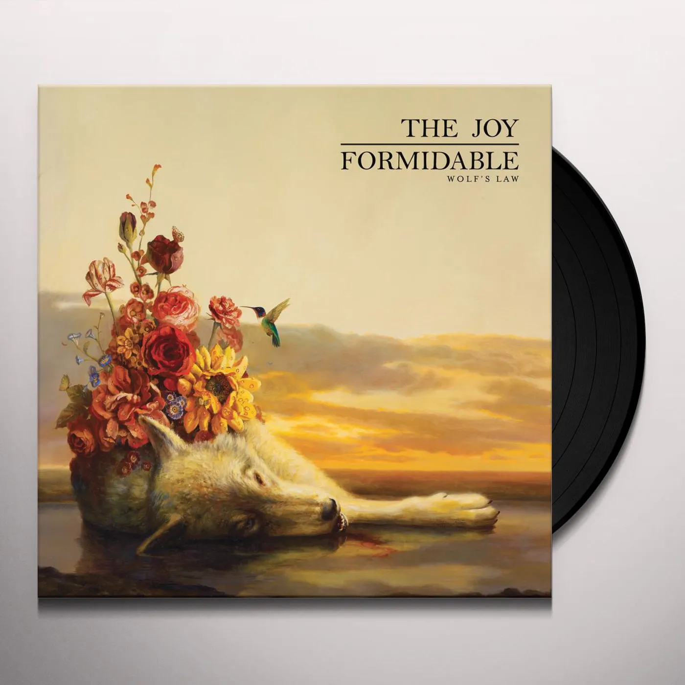 The Joy Formidable Wolf's Law Vinyl Record