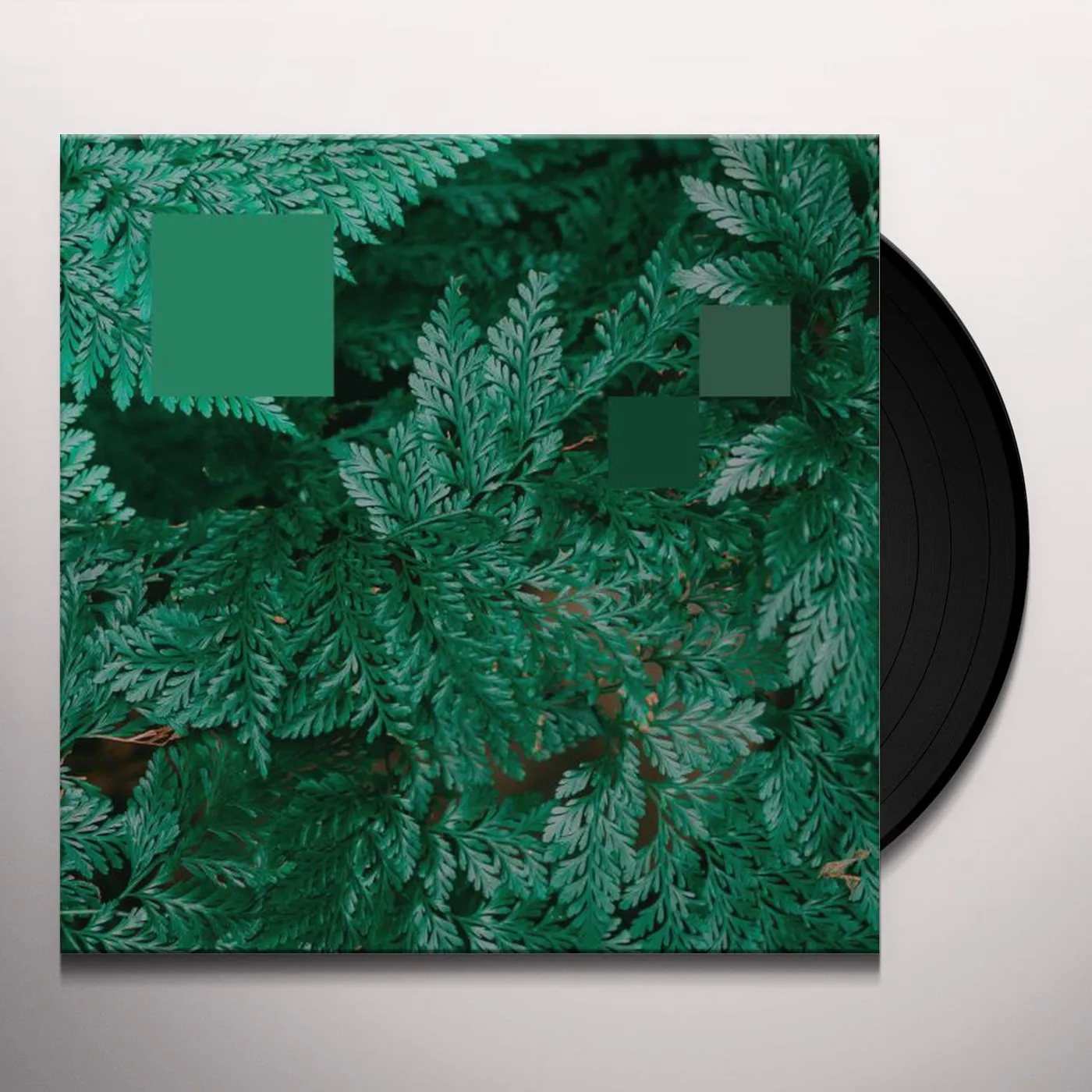 Nebraska METAPHOR TO THE FLOOR Vinyl Record