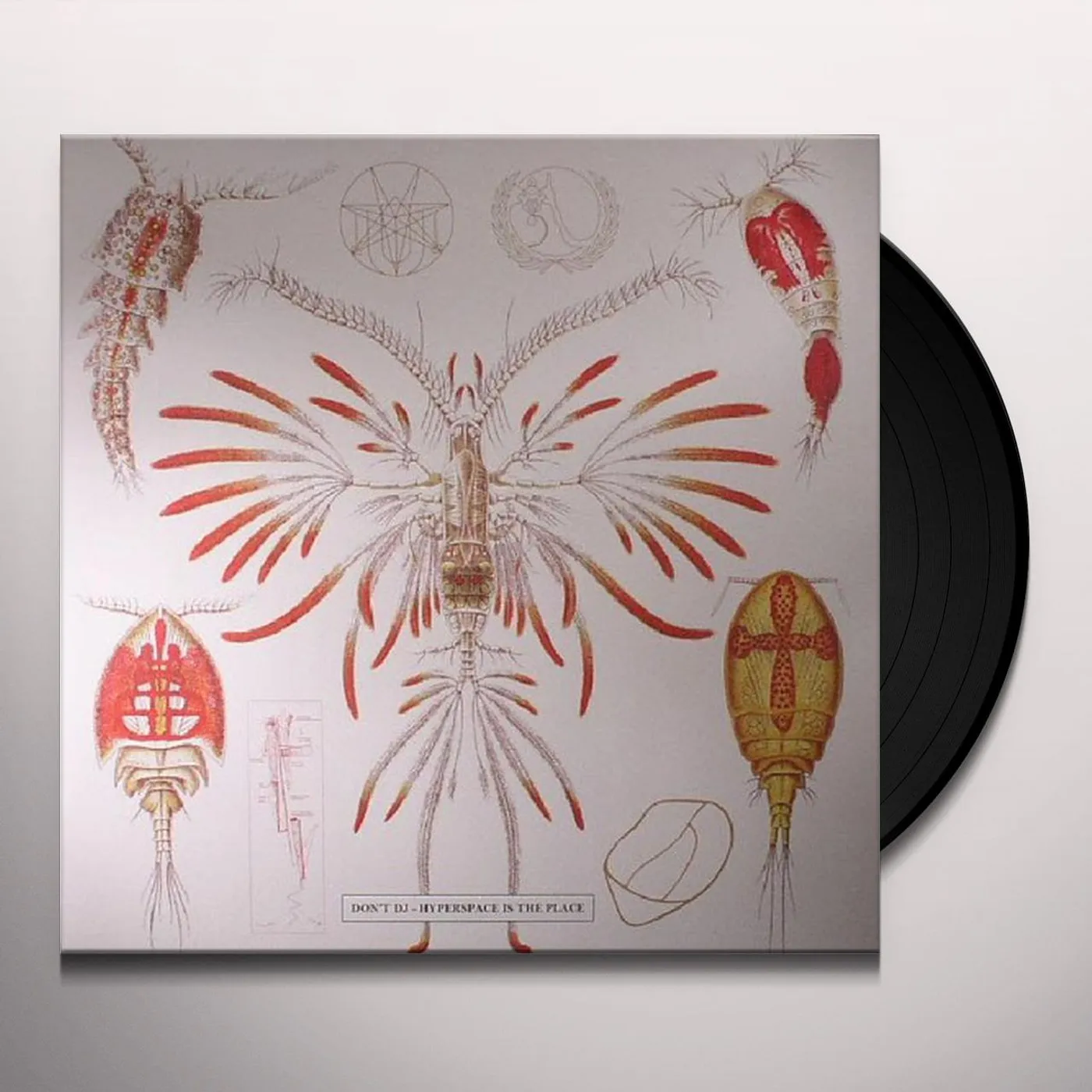 Don't DJ Hyperspace Is The Place / Hyperspace Is No Place Vinyl Record