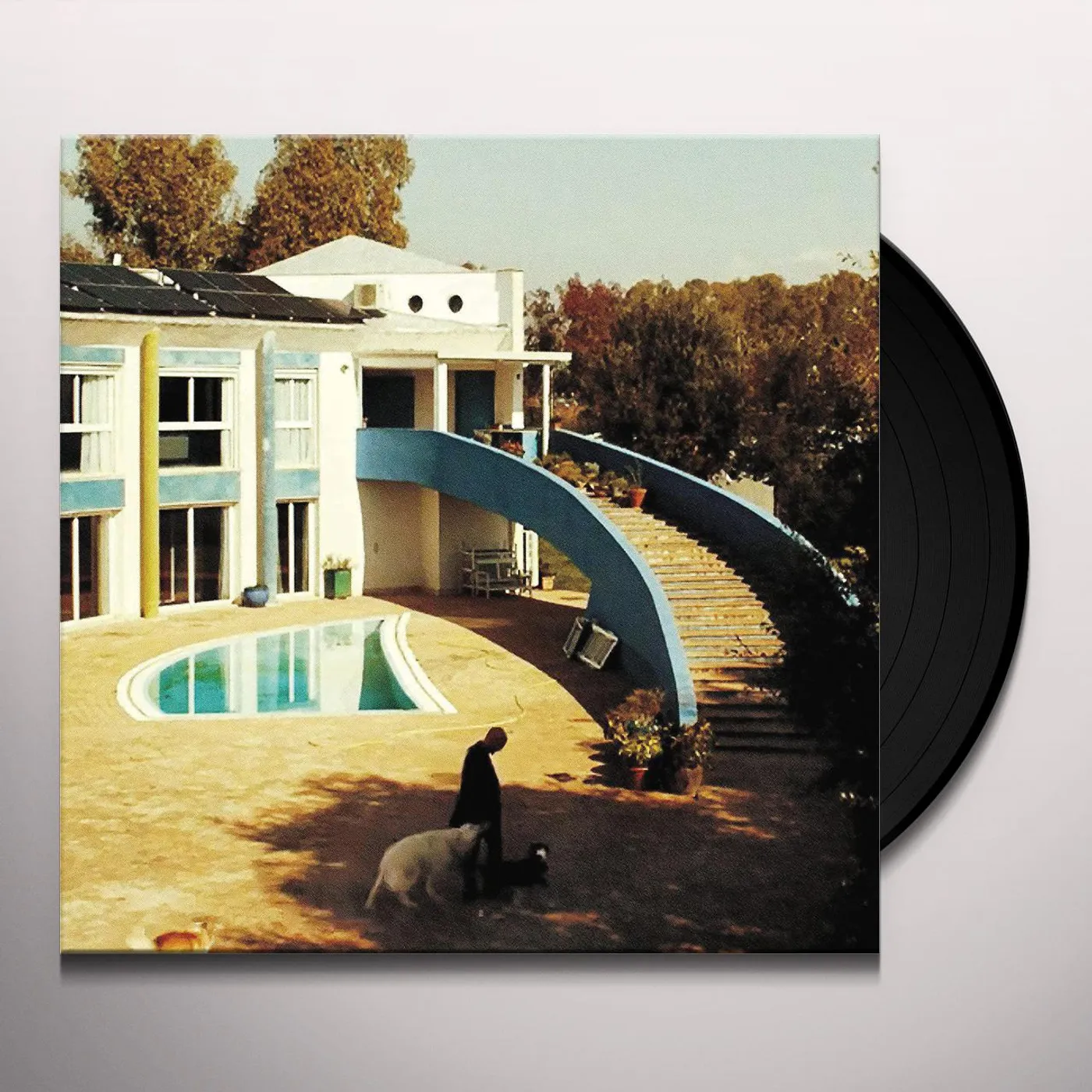 Verdena America Latina Vinyl Record