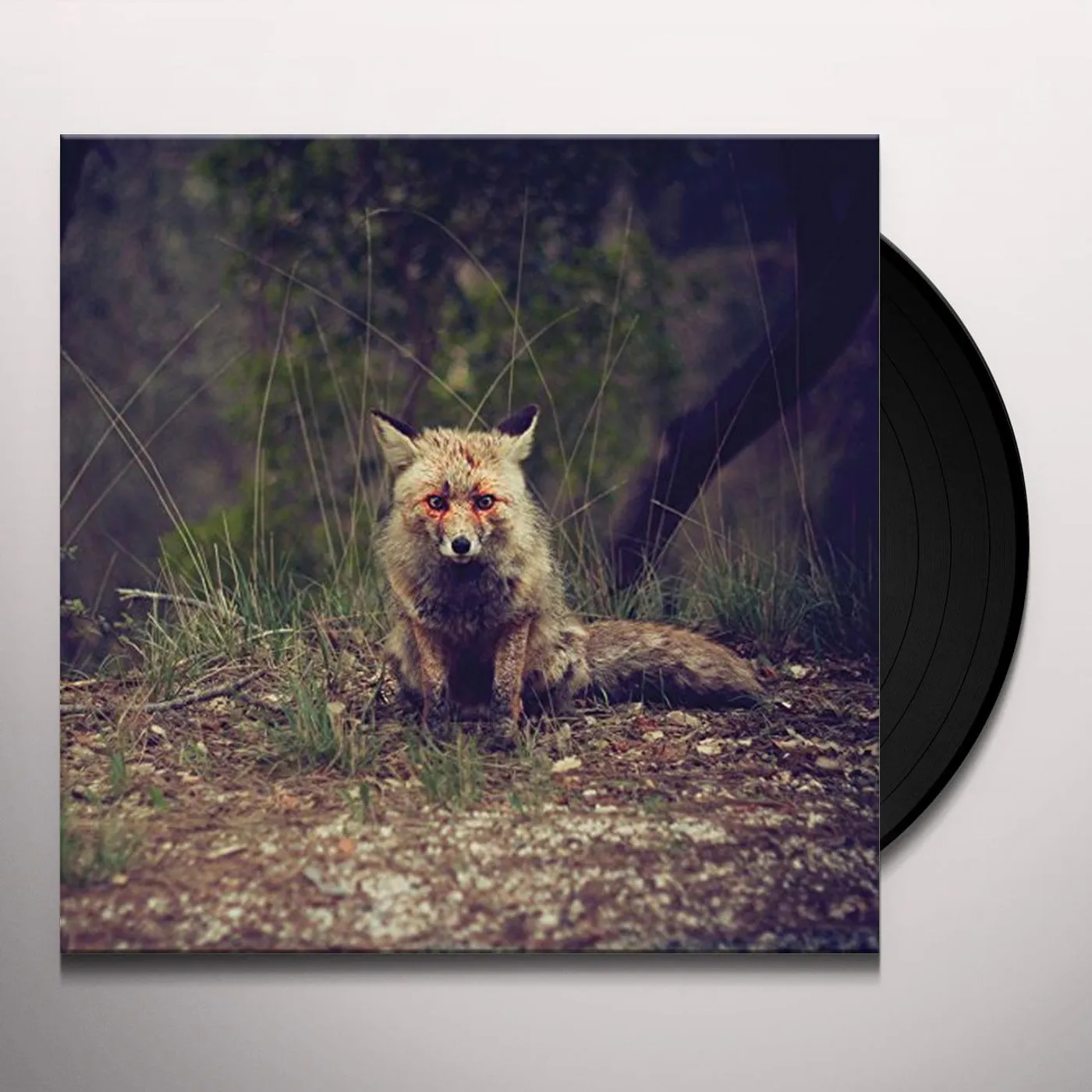 Winterpills Love Songs Vinyl Record