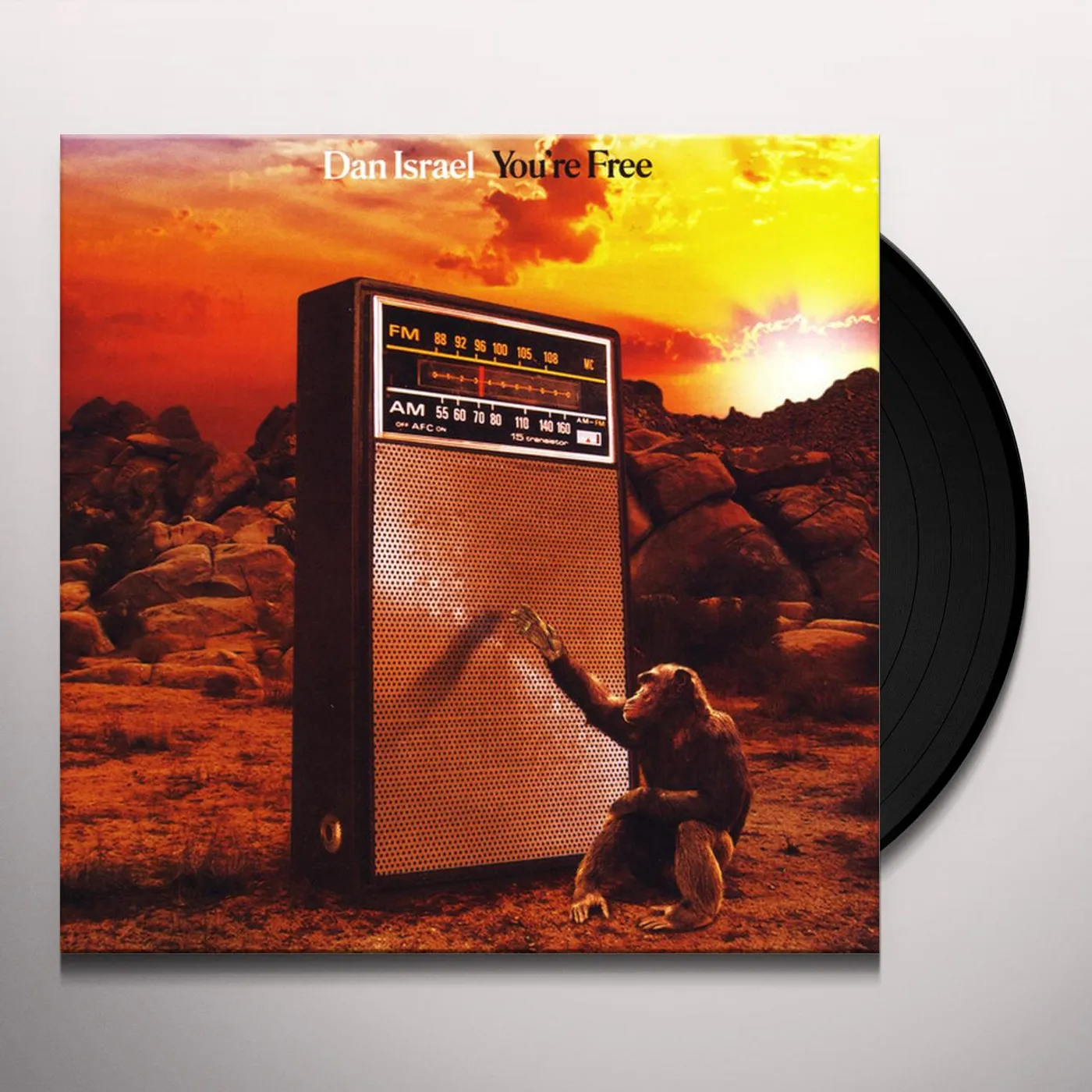 Dan Israel You're Free Vinyl Record