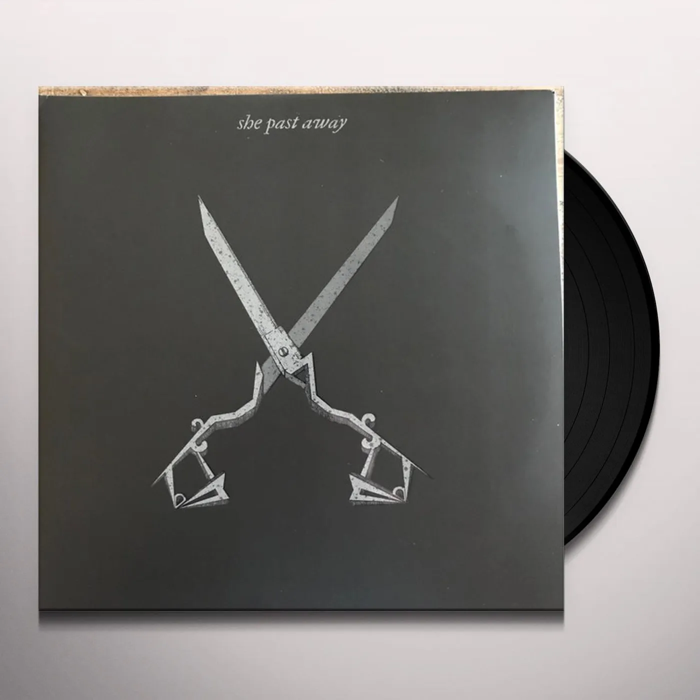 She Past Away X Vinyl Record
