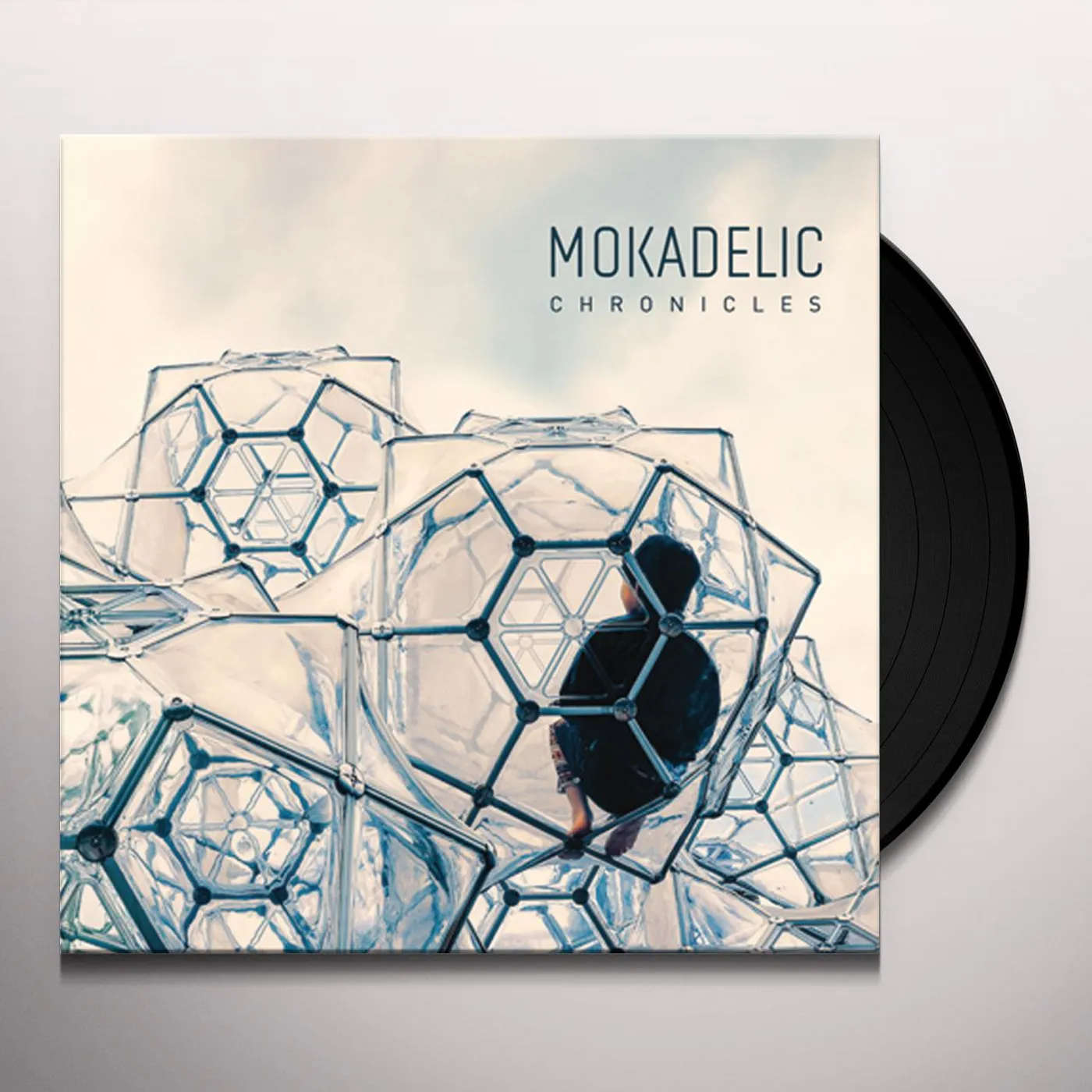 Mokadelic Chronicles Vinyl Record