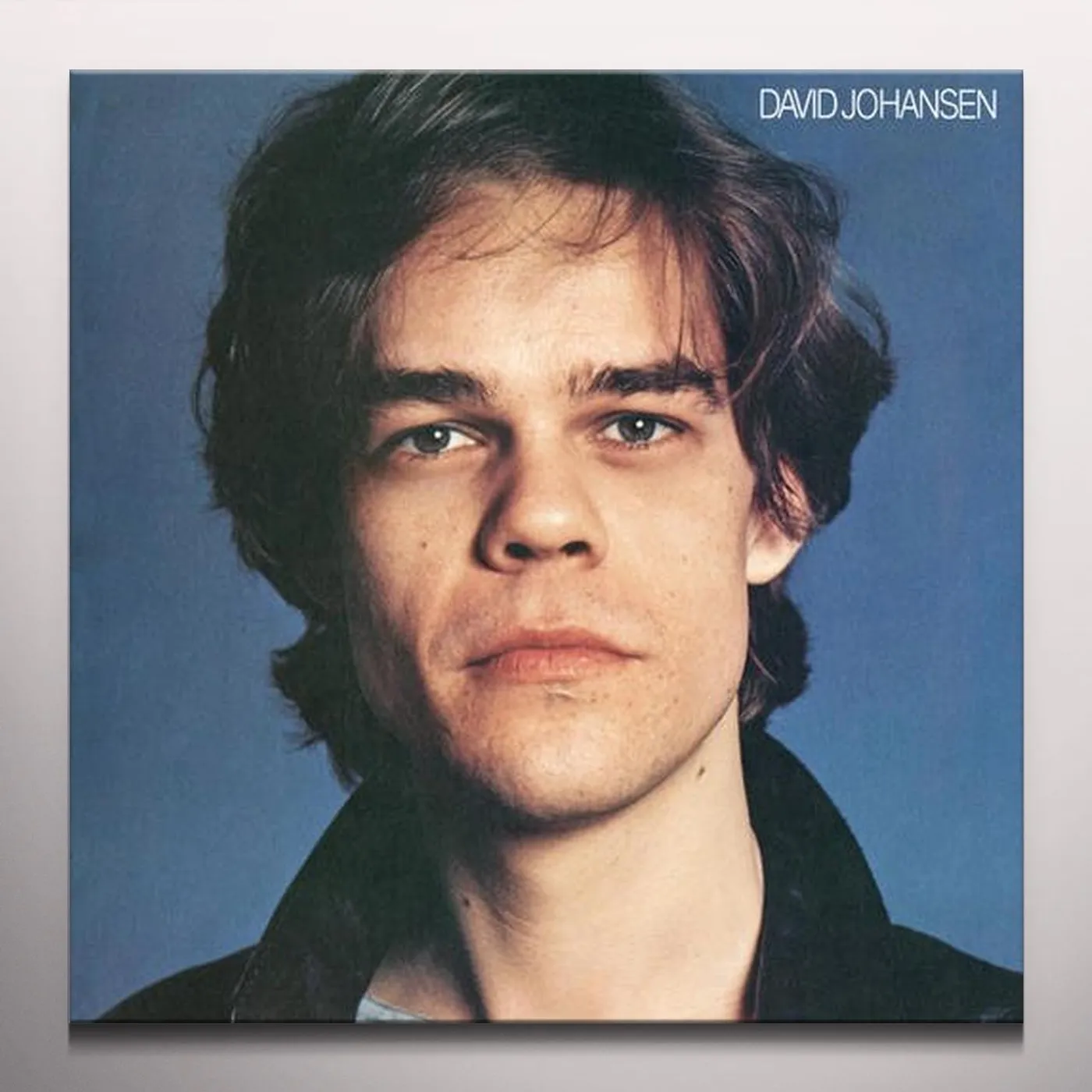 David Johansen Vinyl Record