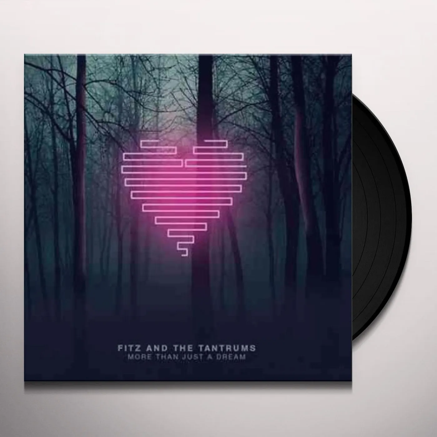 Fitz and The Tantrums More Than Just A Dream Vinyl Record