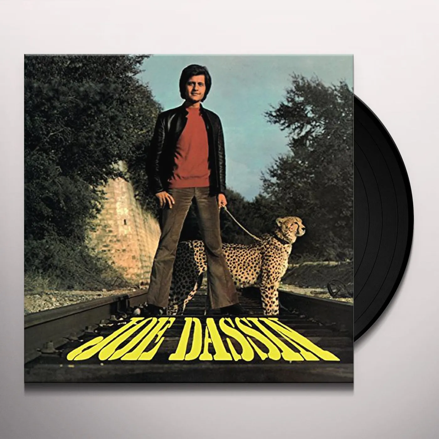 Joe Dassin La Fleur Aux Dents Vinyl Record