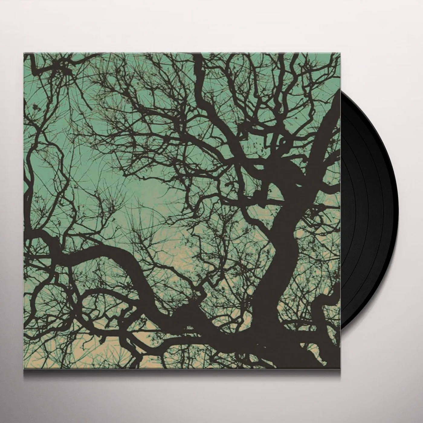 Föllakzoid Vinyl Record