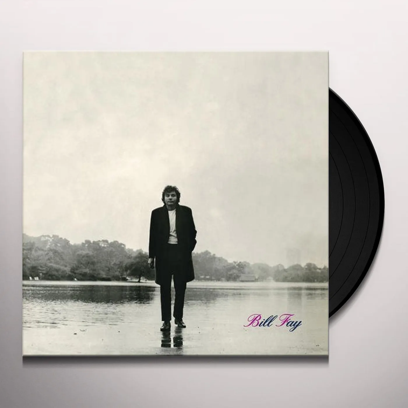 Bill Fay Vinyl Record