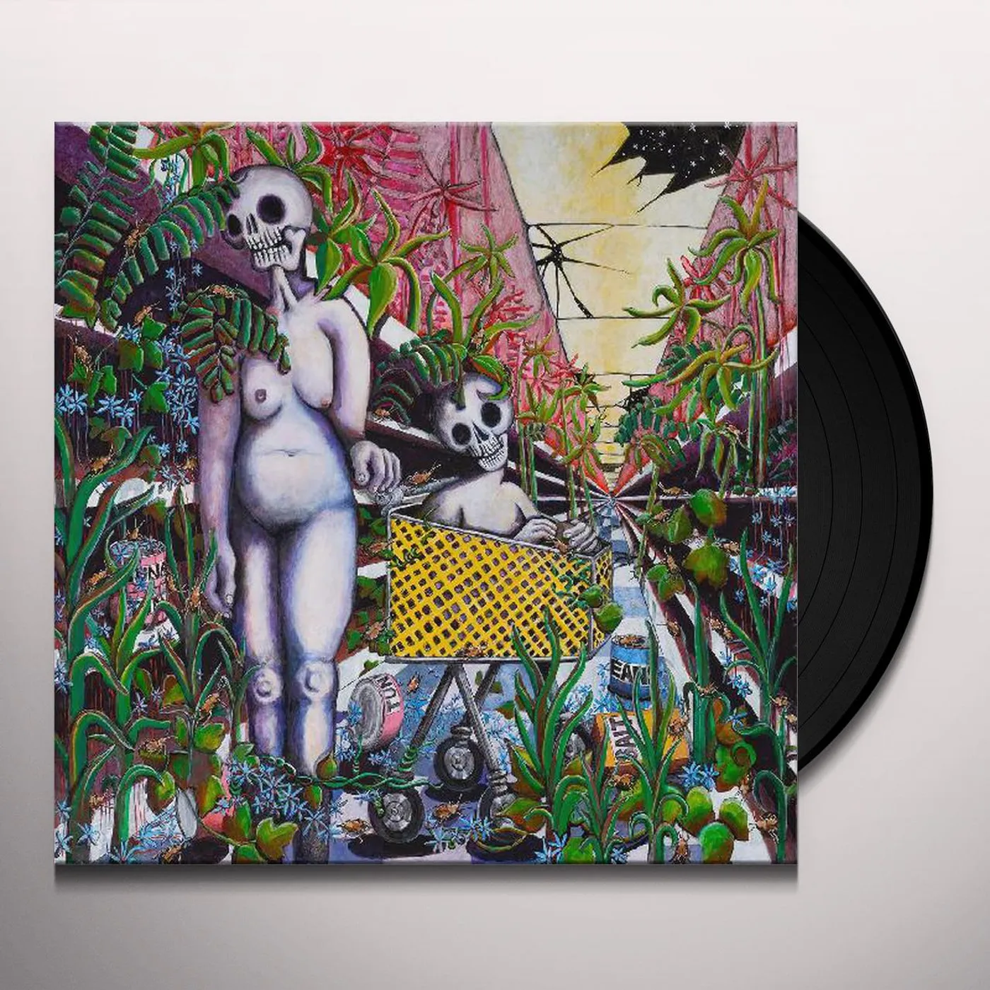 Indigo De Souza Any Shape You Take Vinyl Record