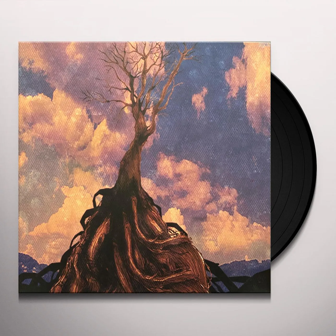 Murder By Death In Bocca Al Lupo Vinyl Record