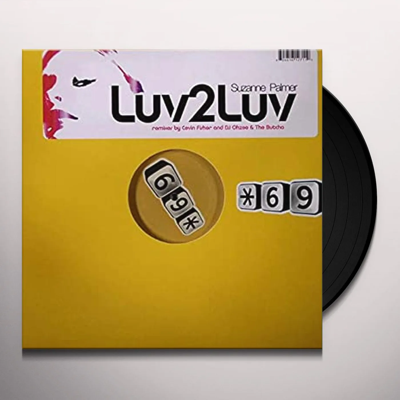 Suzanne Palmer HIDE U 1 Vinyl Record