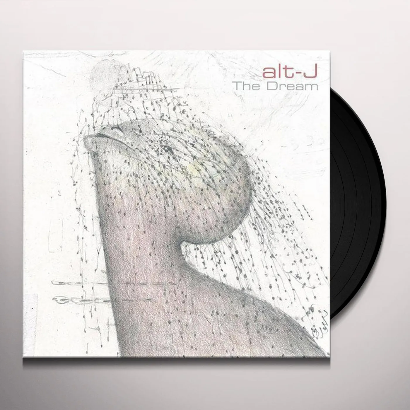 alt-J DREAM Vinyl Record