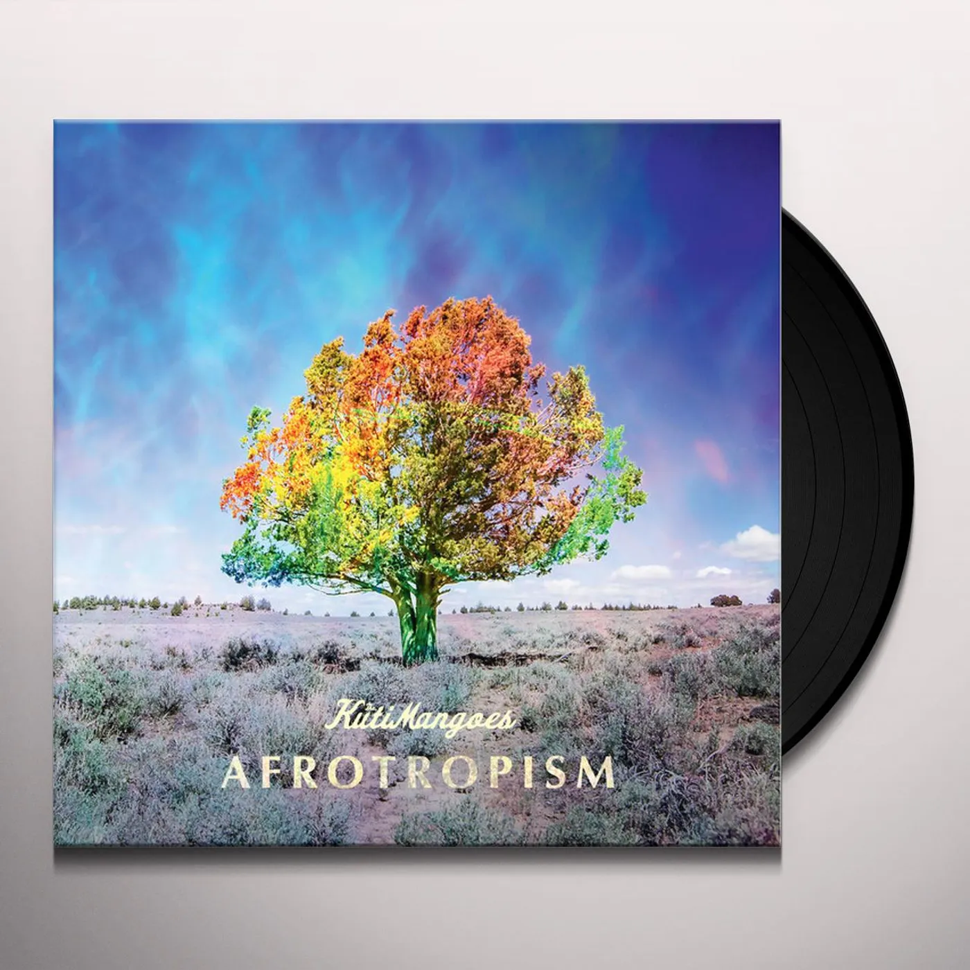 The KutiMangoes Afrotropism Vinyl Record