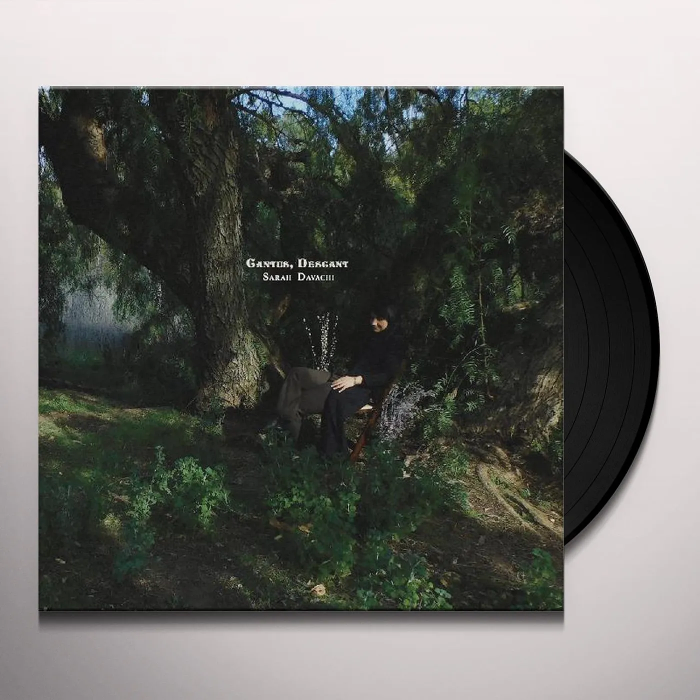 Sarah Davachi CANTUS DESCANT Vinyl Record