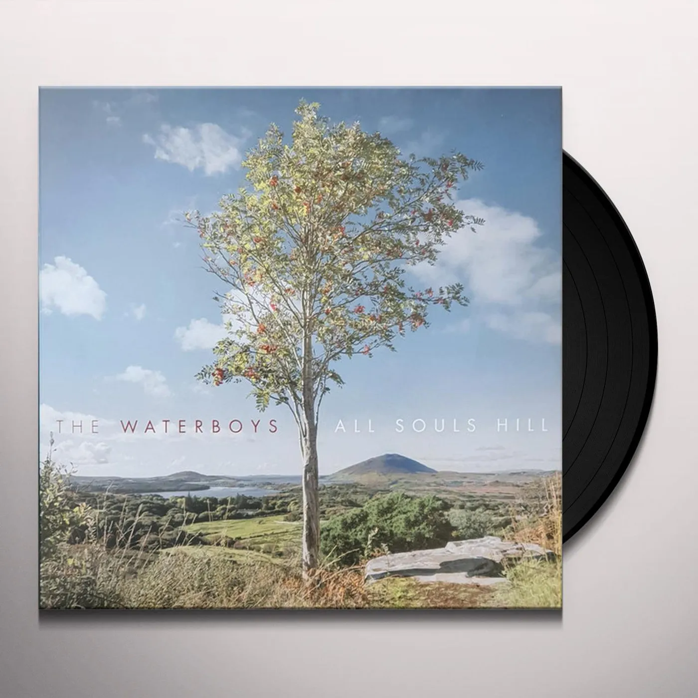 The Waterboys All Souls Hill Vinyl Record