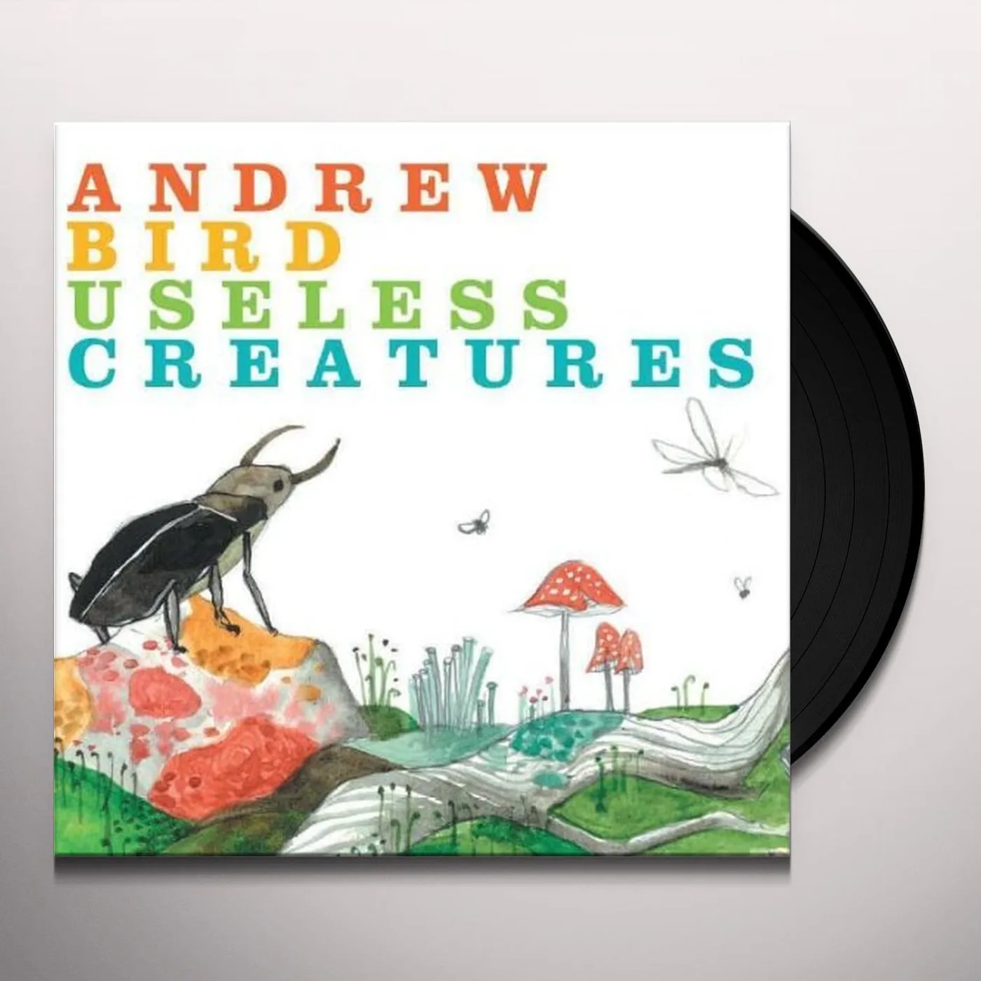 Andrew Bird Useless Creatures Vinyl Record