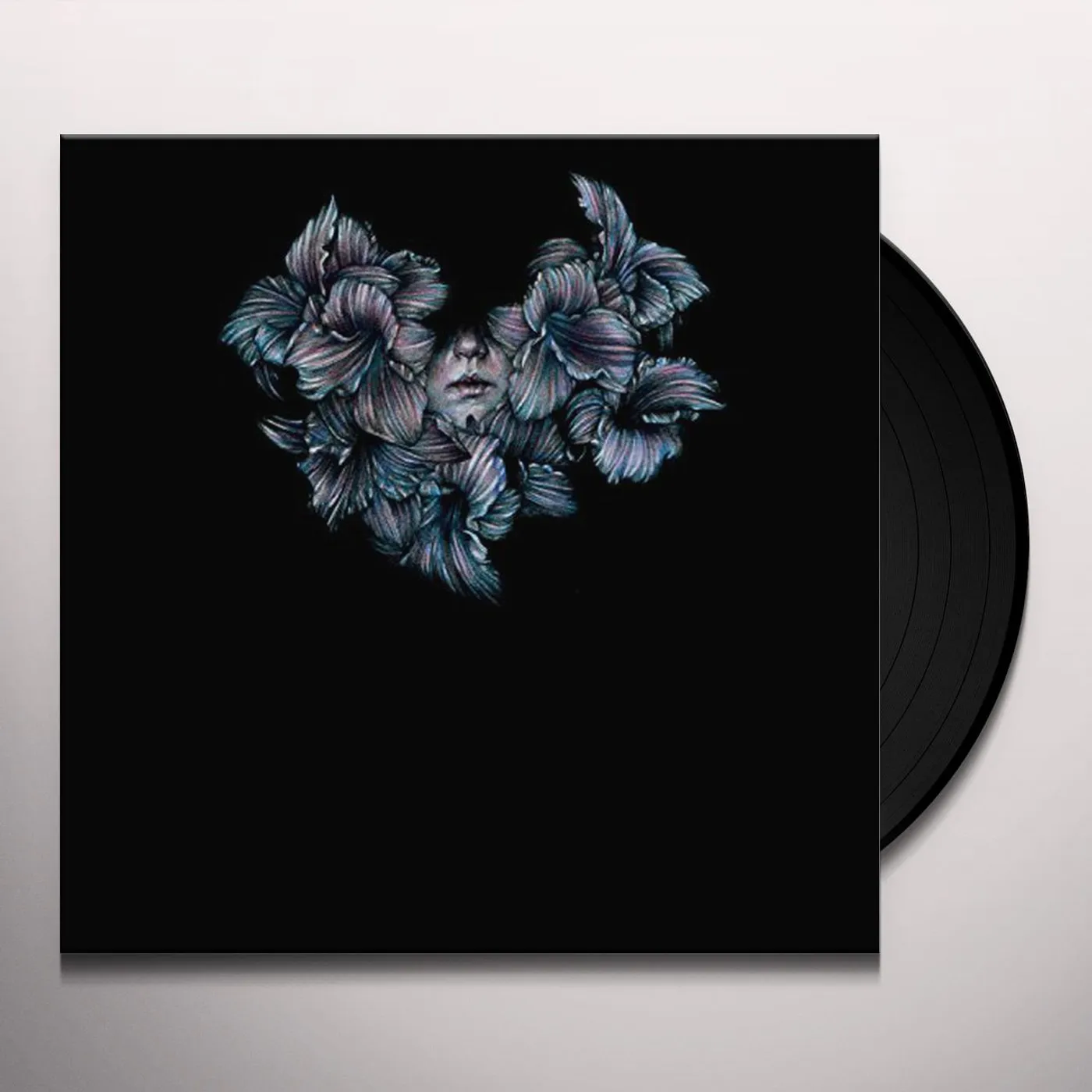 A Lot Like Birds Divisi Vinyl Record