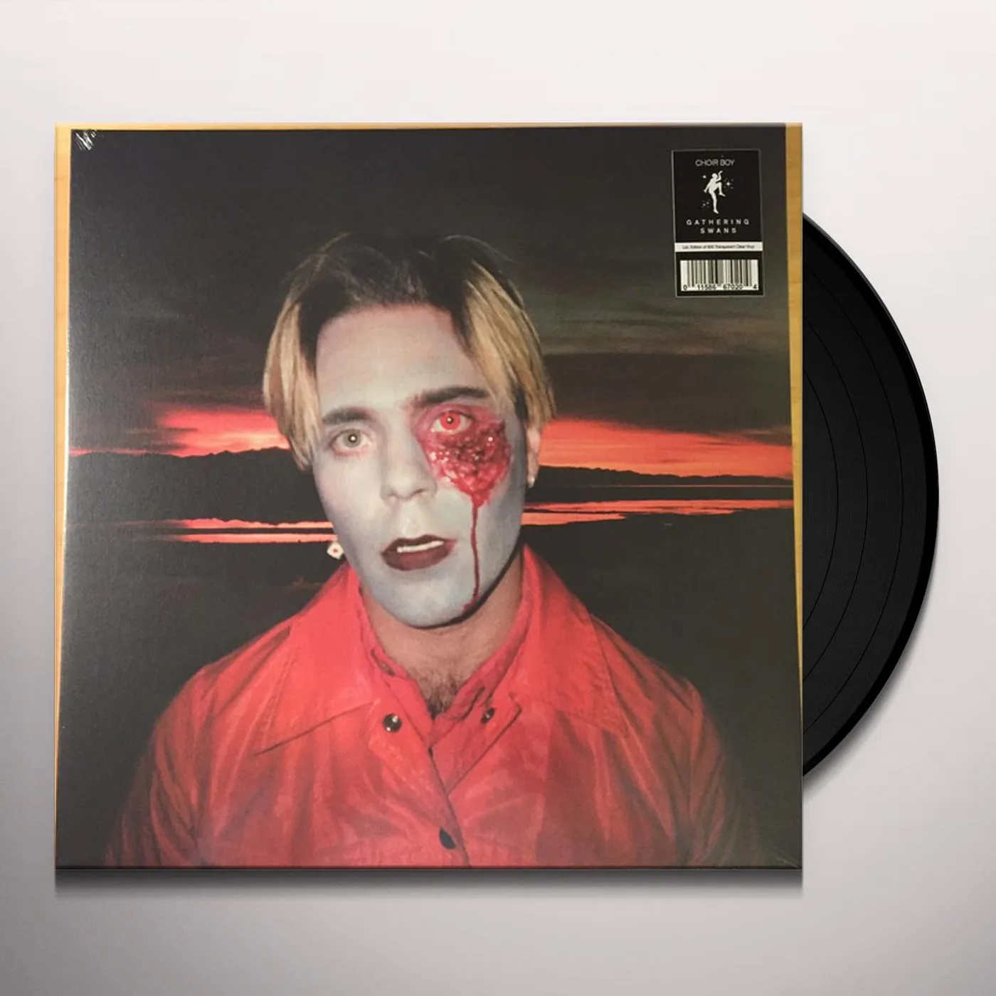 Choir Boy Gathering Swans Vinyl Record