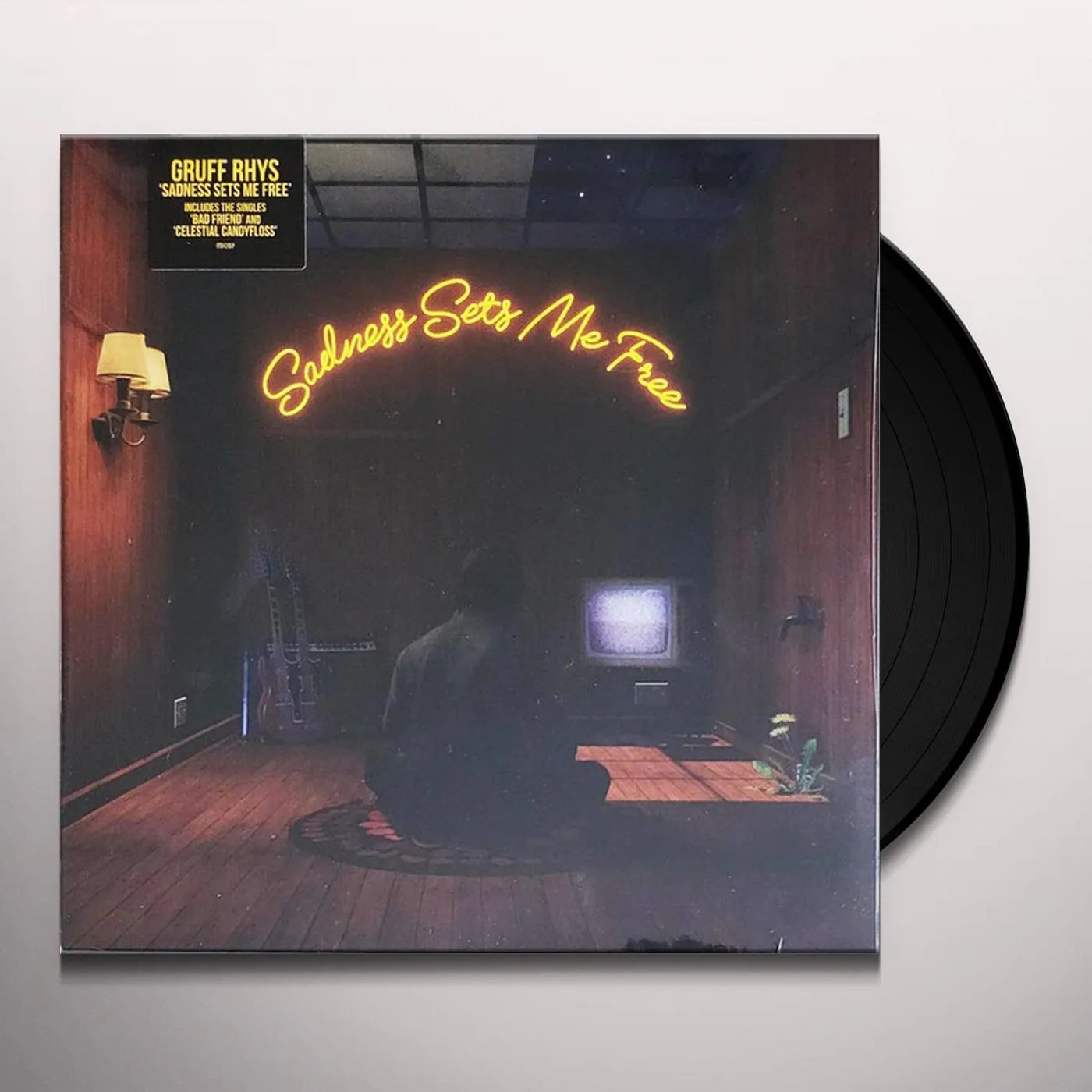 Gruff Rhys SADNESS SETS ME FREE Vinyl Record