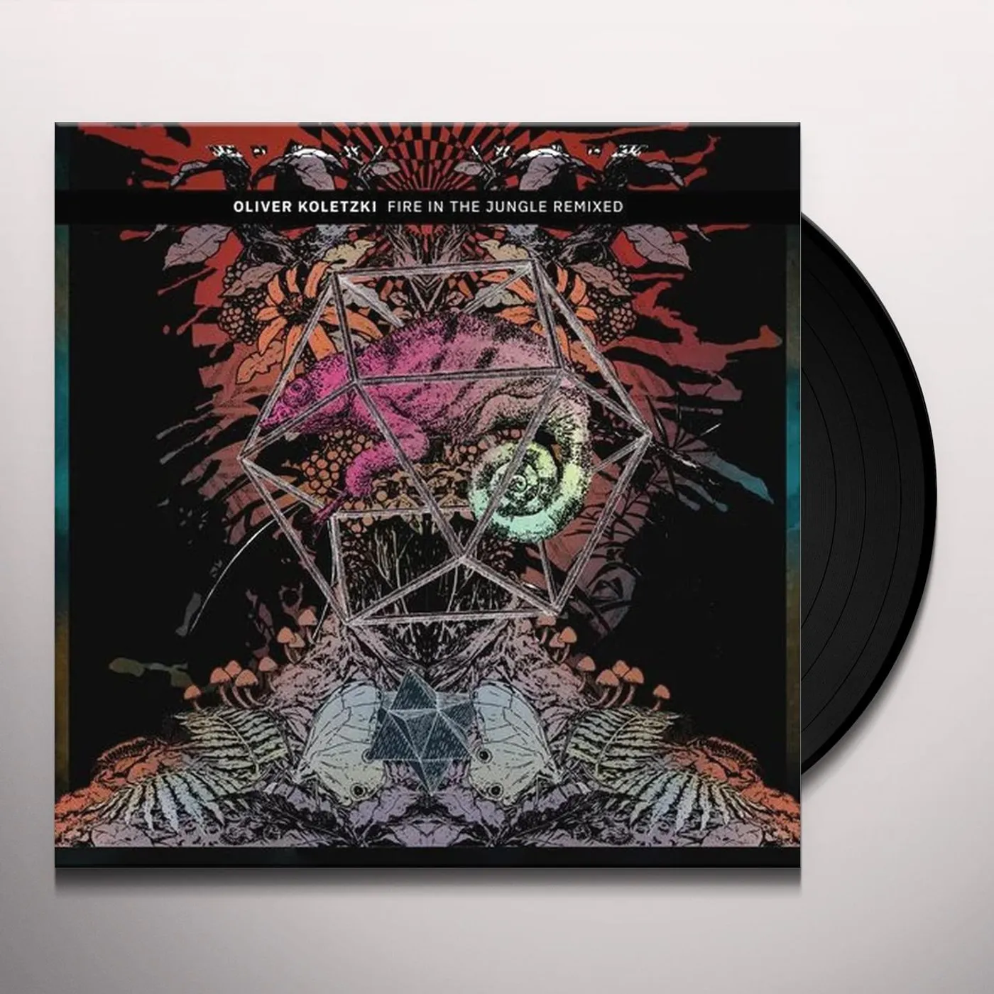 Oliver Koletzki Fire in the Jungle Remixed Vinyl Record
