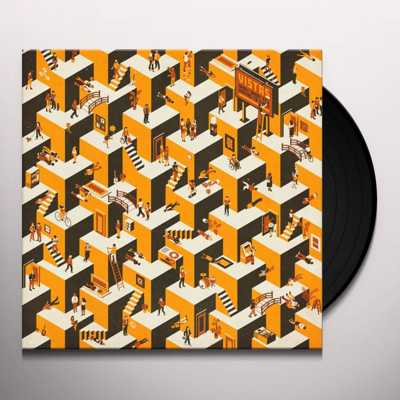 Vistas WHAT WERE YOU HOPING TO FIND Vinyl Record