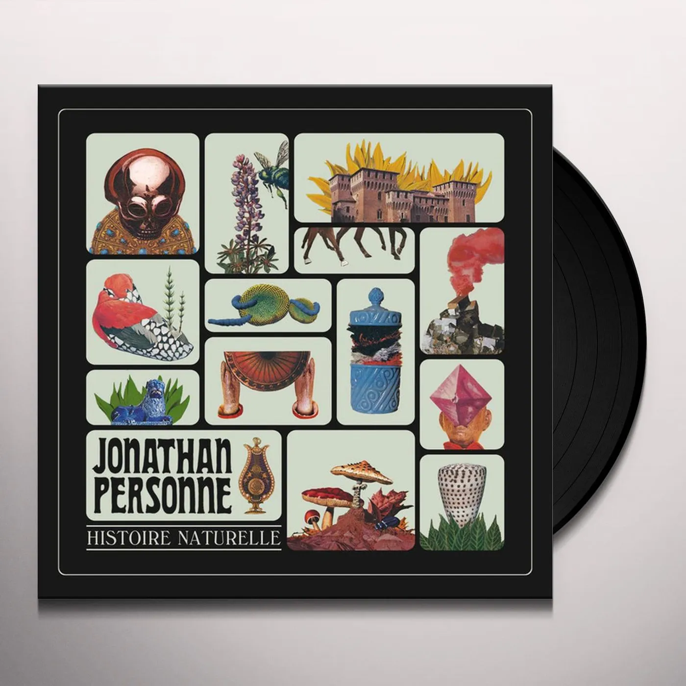 Jonathan Personne Histoire naturelle Vinyl Record